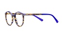 5 NARA19 50O HVBL - secondary_3