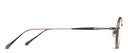 10189H-I.RX.AG-BRN.45 - PROFILE