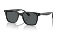 0OV5419SU.1005P2.50 - QT