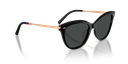 0OV5597SU.100587.55 - AL2