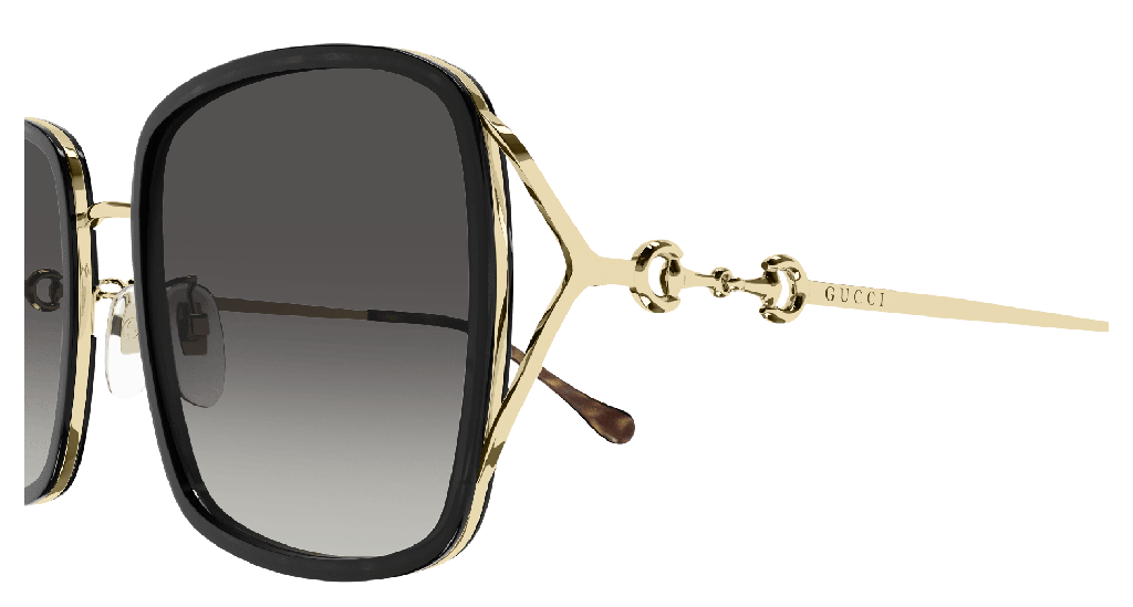 GG1016SK-001 - side