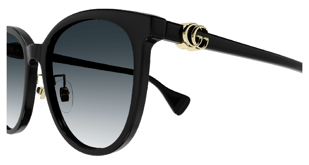 GG1180SK-001 - side