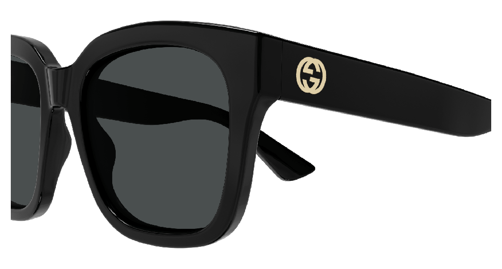 GG1338SK-001 - side