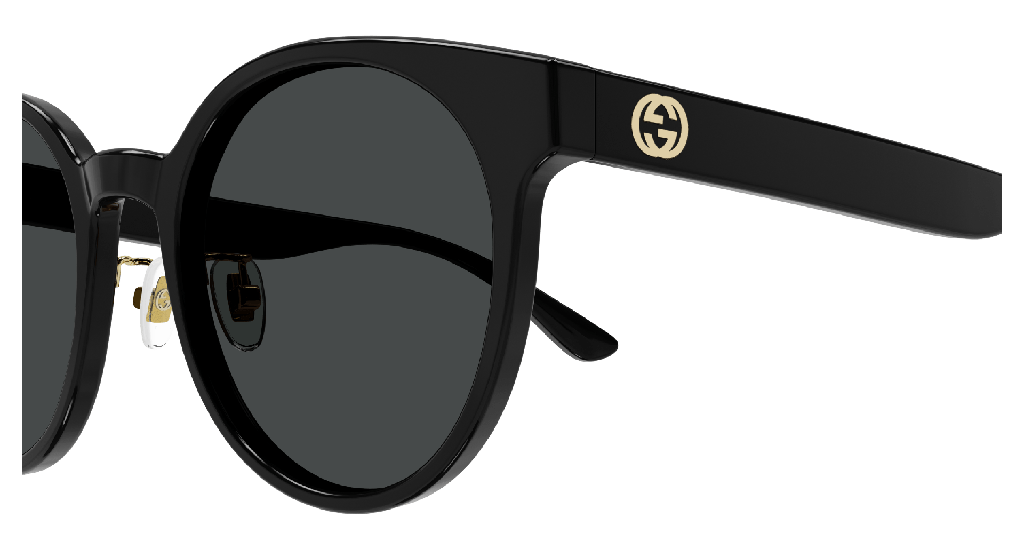 GG1339SK-001 - side