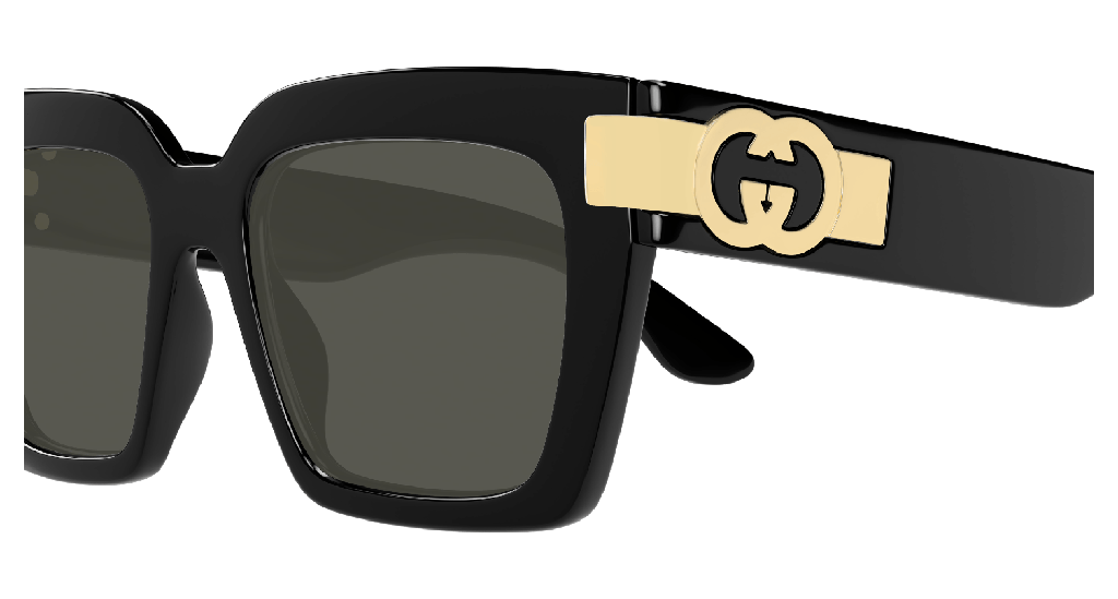 GG1689S-001 - side