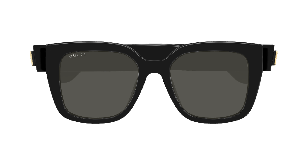 GG1690SK-001 - side