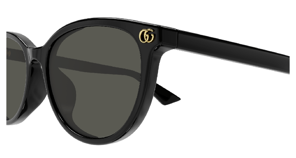 GG1818SK-001 - side