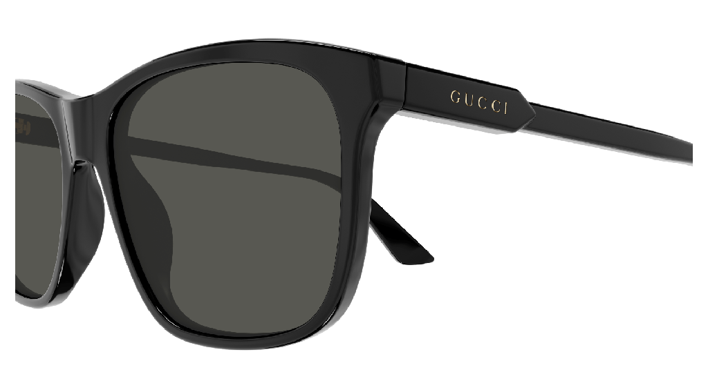 GG1819S-001 - side