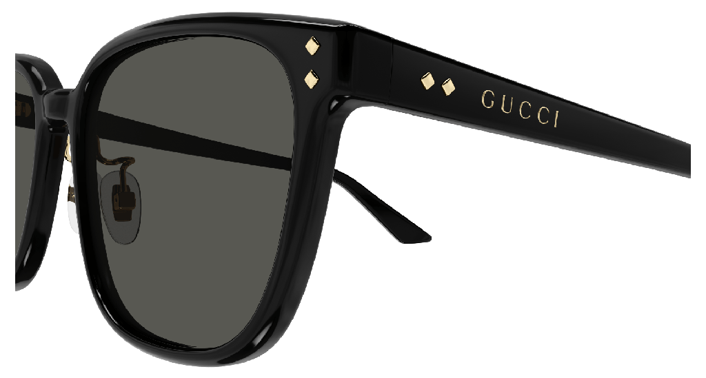 GG1896SK-001 - side