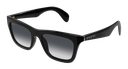 GG1933S-001 - quarter