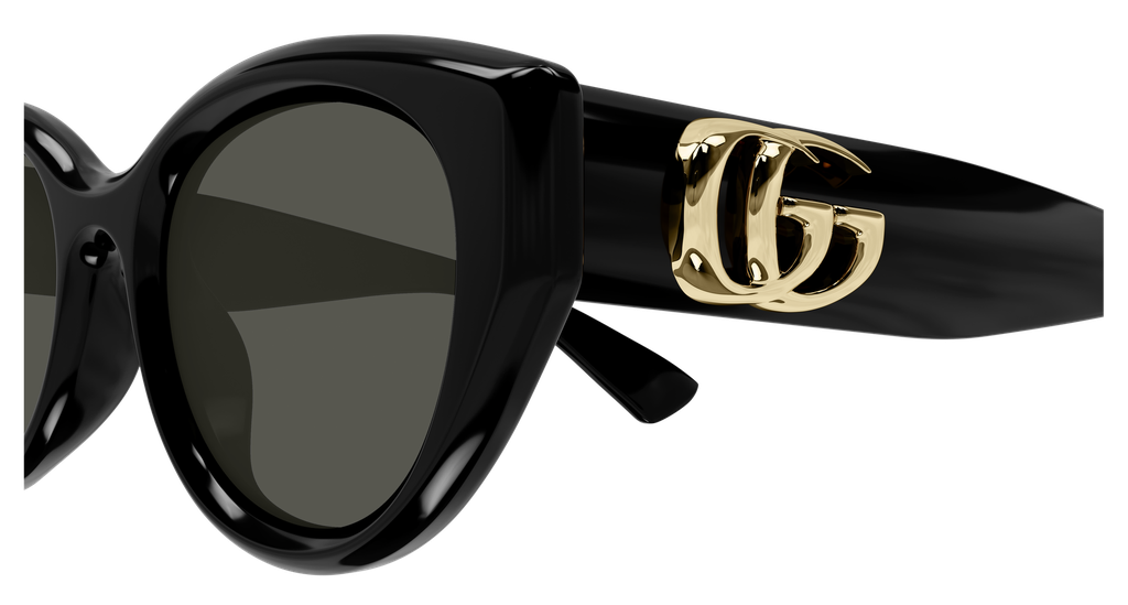 GG1976SK-001 - side
