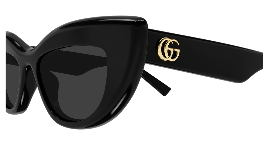 GG2031S-001 - side