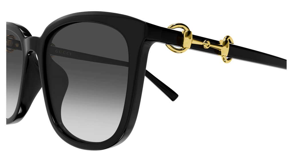 GG2057SK-001 - side