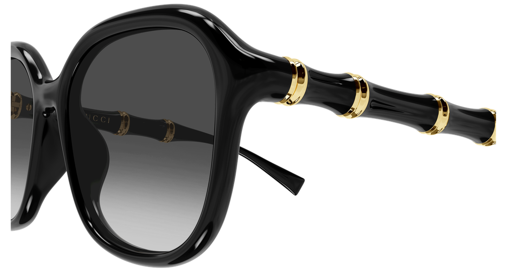 GG2061SA-001 - side