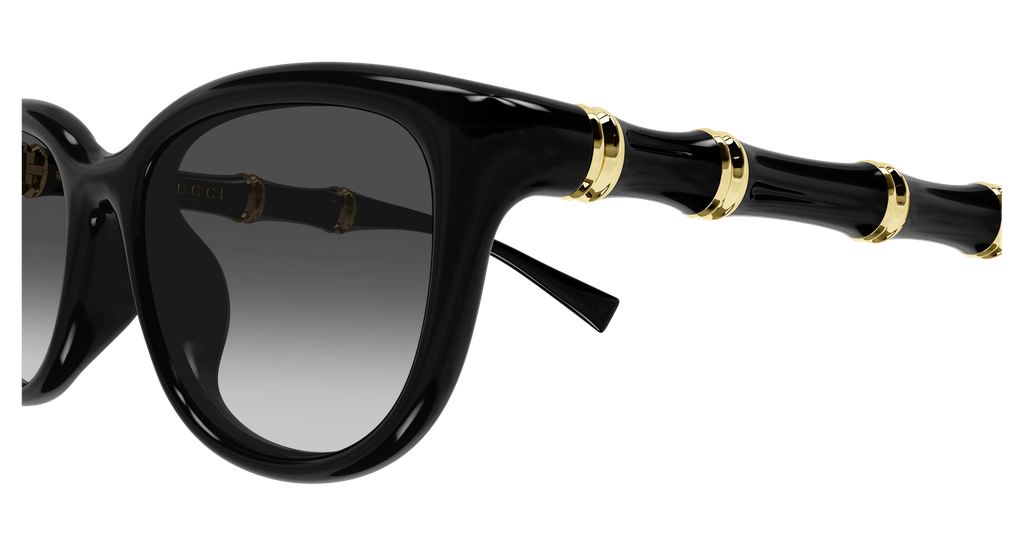 GG2062SA-001 - side