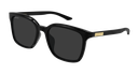 GG2080SK-001 - quarter