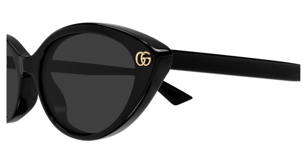 GG2110S-001 - side