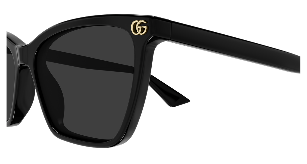 GG2111S-001 - side