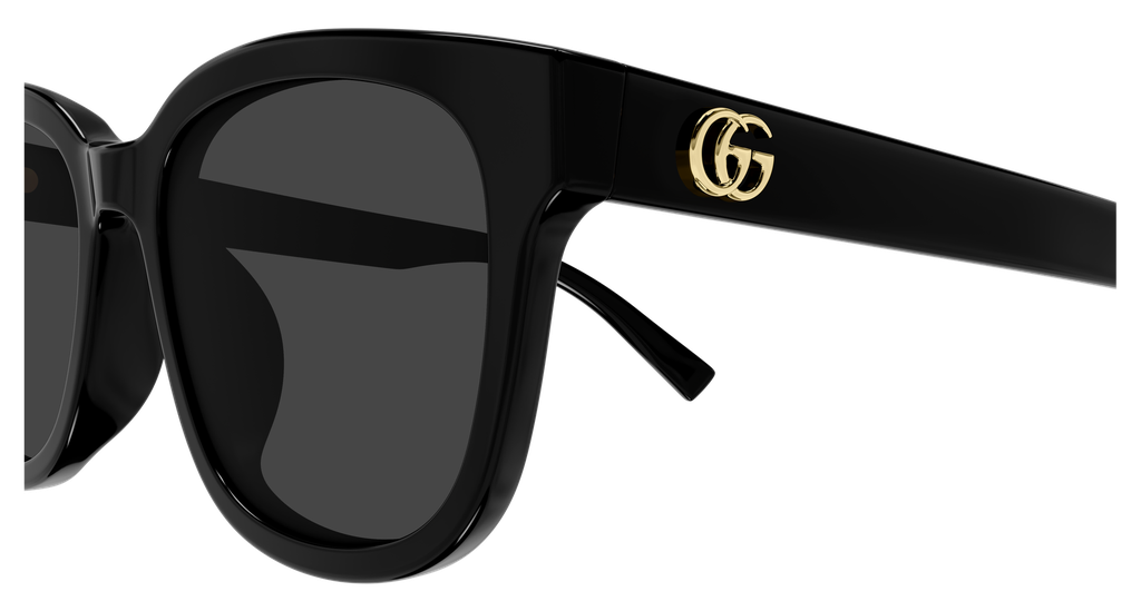GG2126SK-001 - side