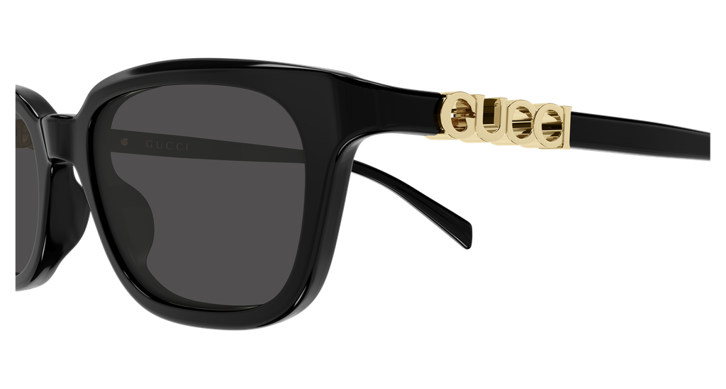 GG2208S-001 - side