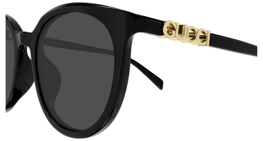 GG2209SK-001 - side