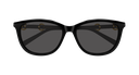 GG2220SK-001 - side