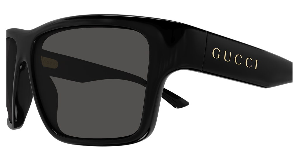 GG2239S-001 - side