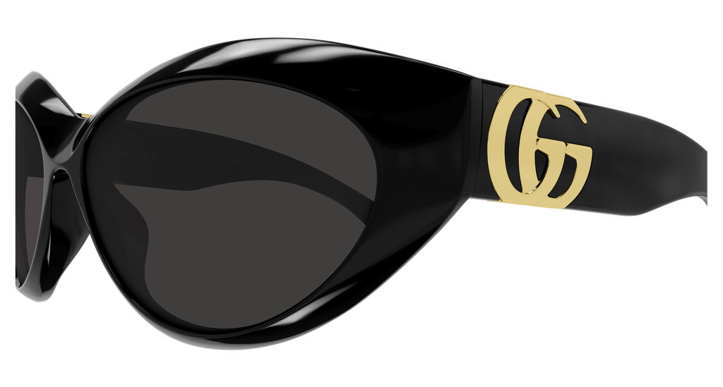 GG2269SA-001 - side