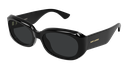 SL 868-001 - quarter