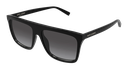 SL 904-001 - quarter