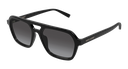 SL 905-001 - quarter