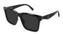 SL M170-001 - quarter