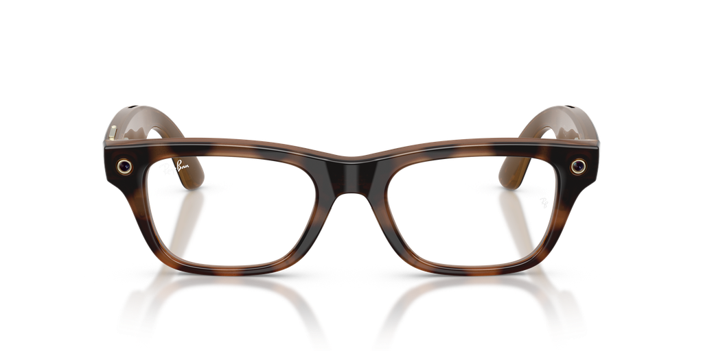 Ray-Ban Meta BLAYZER OPTICS 0RW7001