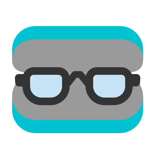 Estuche protector de gafas