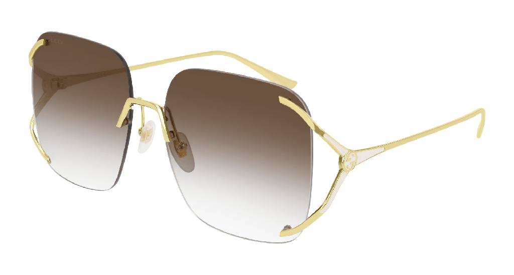 [GG0646S-002] GG0646S