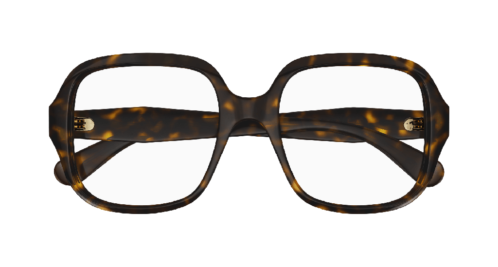 [GG0799O-002] GG0799O
