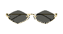 GG1604S