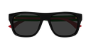 GG2119S