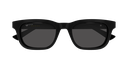 GG2248S