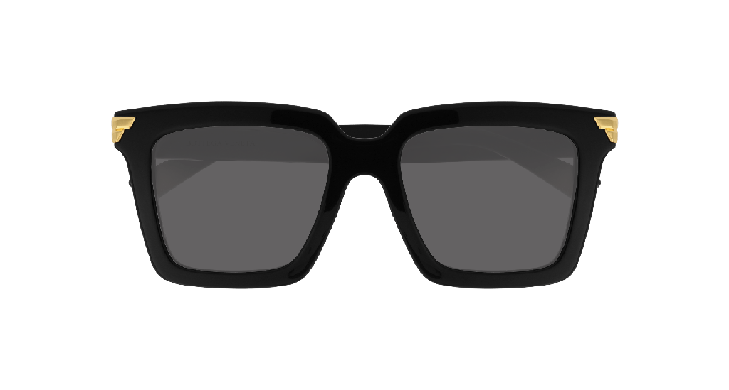 BV1005S